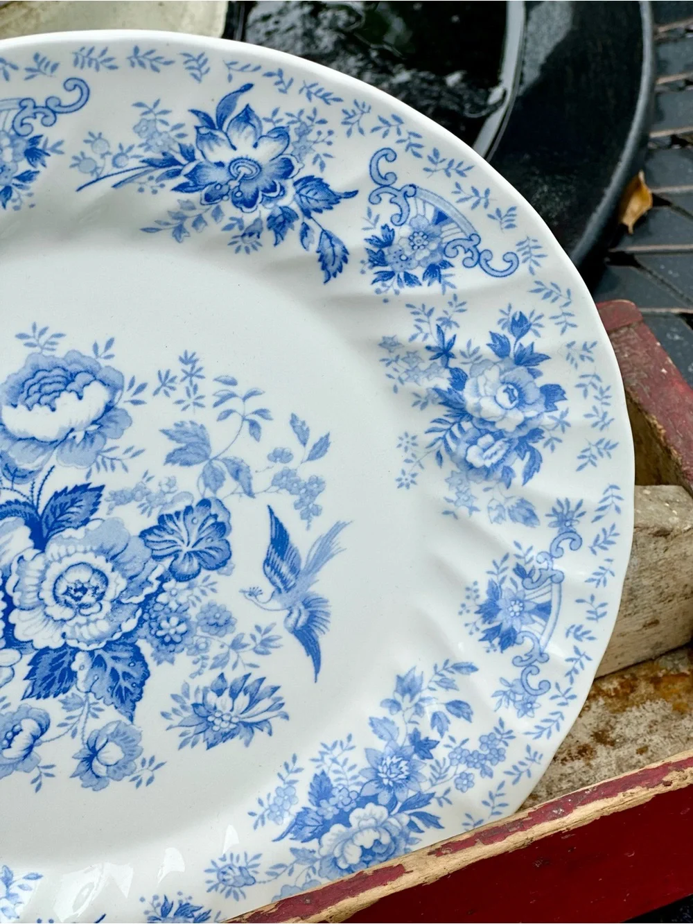 Queens Oriental Garden 10 inch Dinner Plate Blue White Transferware England
